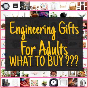 Engineering Gifts For Adults [TOP PICKS]