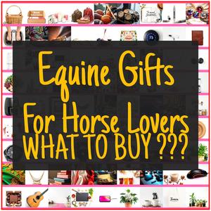 Equine Gifts For Horse Lovers [TOP PICKS]