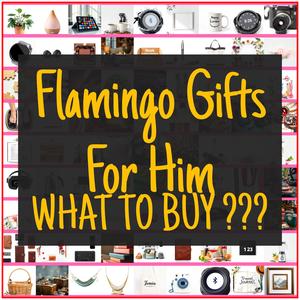 Flamingo Gifts For Him [TOP PICKS]