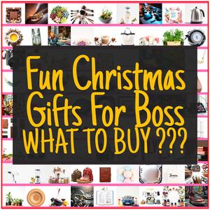 Fun Christmas Gifts For Boss [TOP PICKS]