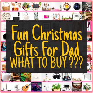 Fun Christmas Gifts For Dad [TOP PICKS]