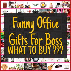 Funny Office Gifts For Boss [TOP PICKS]
