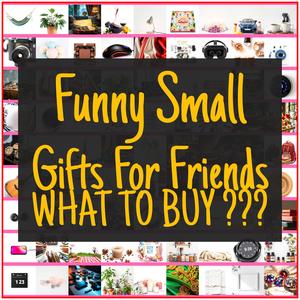 Funny Small Gifts For Friends [TOP PICKS]