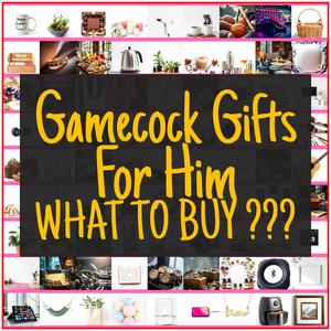 Gamecock Gifts For Him [TOP PICKS]