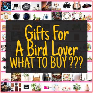 Gifts For A Bird Lover [TOP PICKS]