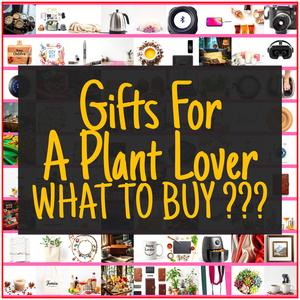 Gifts For A Plant Lover [TOP PICKS]