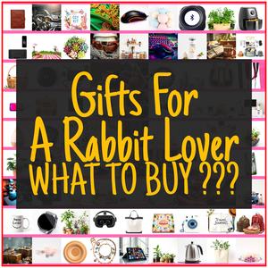 Gifts For A Rabbit Lover [TOP PICKS]