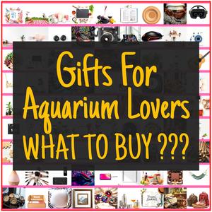 Gifts For Aquarium Lovers [TOP PICKS]