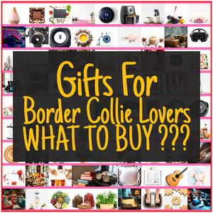 Gifts For Border Collie Lovers [TOP PICKS]