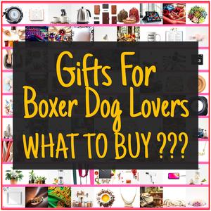 Gifts For Boxer Dog Lovers [TOP PICKS]