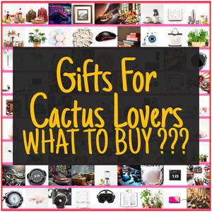 Gifts For Cactus Lovers [TOP PICKS]