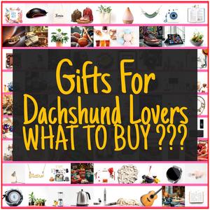 Gifts For Dachshund Lovers [TOP PICKS]