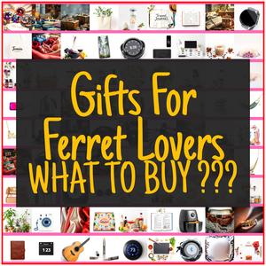 Gifts For Ferret Lovers [TOP PICKS]