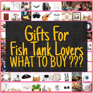 Gifts For Fish Tank Lovers [TOP PICKS]