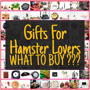 Gifts For Hamster Lovers [TOP PICKS]