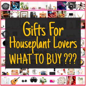 Gifts For Houseplant Lovers [TOP PICKS]