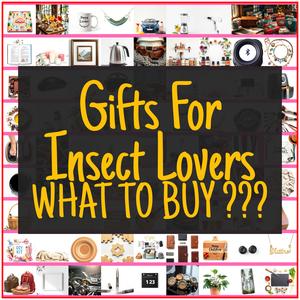 Gifts For Insect Lovers [TOP PICKS]