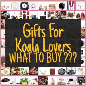 Gifts For Koala Lovers [TOP PICKS]