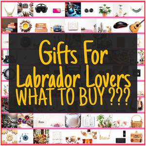 Gifts For Labrador Lovers [TOP PICKS]