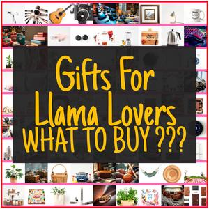 Gifts For Llama Lovers [TOP PICKS]