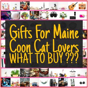 Gifts For Maine Coon Cat Lovers [TOP PICKS]