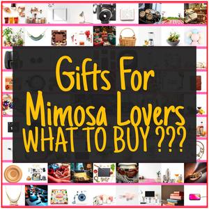 Gifts For Mimosa Lovers [TOP PICKS]