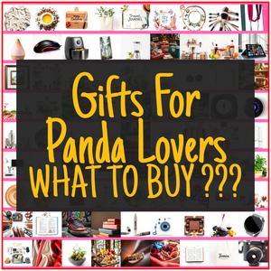 Gifts For Panda Lovers [TOP PICKS]