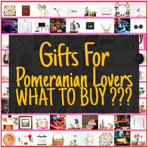 Gifts For Pomeranian Lovers [TOP PICKS]