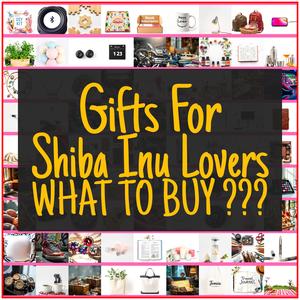Gifts For Shiba Inu Lovers [TOP PICKS]