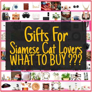 Gifts For Siamese Cat Lovers [TOP PICKS]