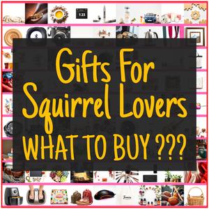 Gifts For Squirrel Lovers [TOP PICKS]