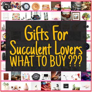 Gifts For Succulent Lovers [TOP PICKS]