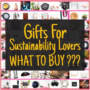 Gifts For Sustainability Lovers [TOP PICKS]