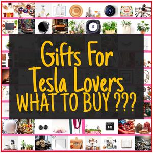 Gifts For Tesla Lovers [TOP PICKS]