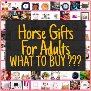 Horse Gifts For Adults [TOP PICKS]
