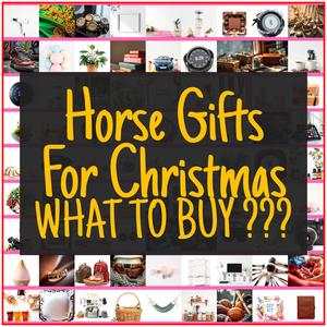 Horse Gifts For Christmas [TOP PICKS]