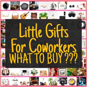 Little Gifts For Coworkers [TOP PICKS]