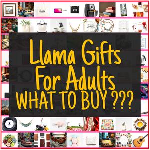 Llama Gifts For Adults [TOP PICKS]