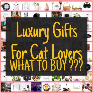 Luxury Gifts For Cat Lovers [TOP PICKS]