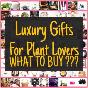 Luxury Gifts For Plant Lovers [TOP PICKS]