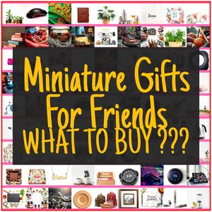 Miniature Gifts For Friends [TOP PICKS]